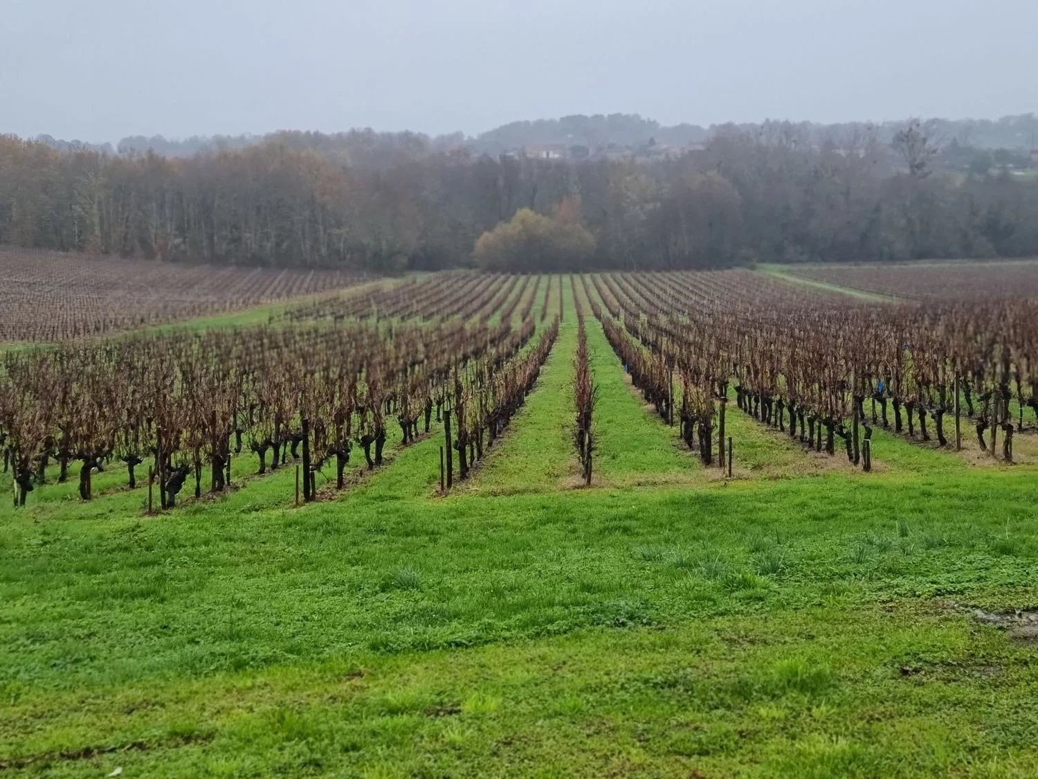 Bien immobilier à vendre à Bordeaux, 22 000 m², 7 pièces – photo 1 sur 8